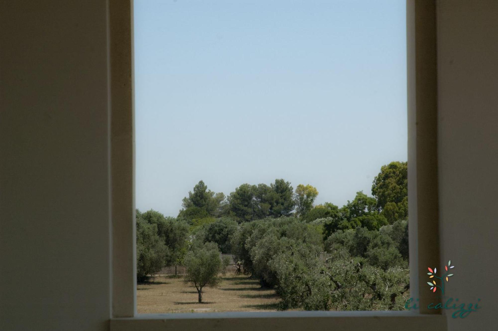 Agriturismo Li Calizzi Arte E Natura Novoli Room photo